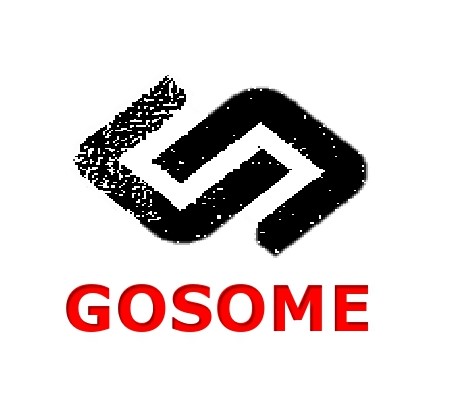 GOSOME logo