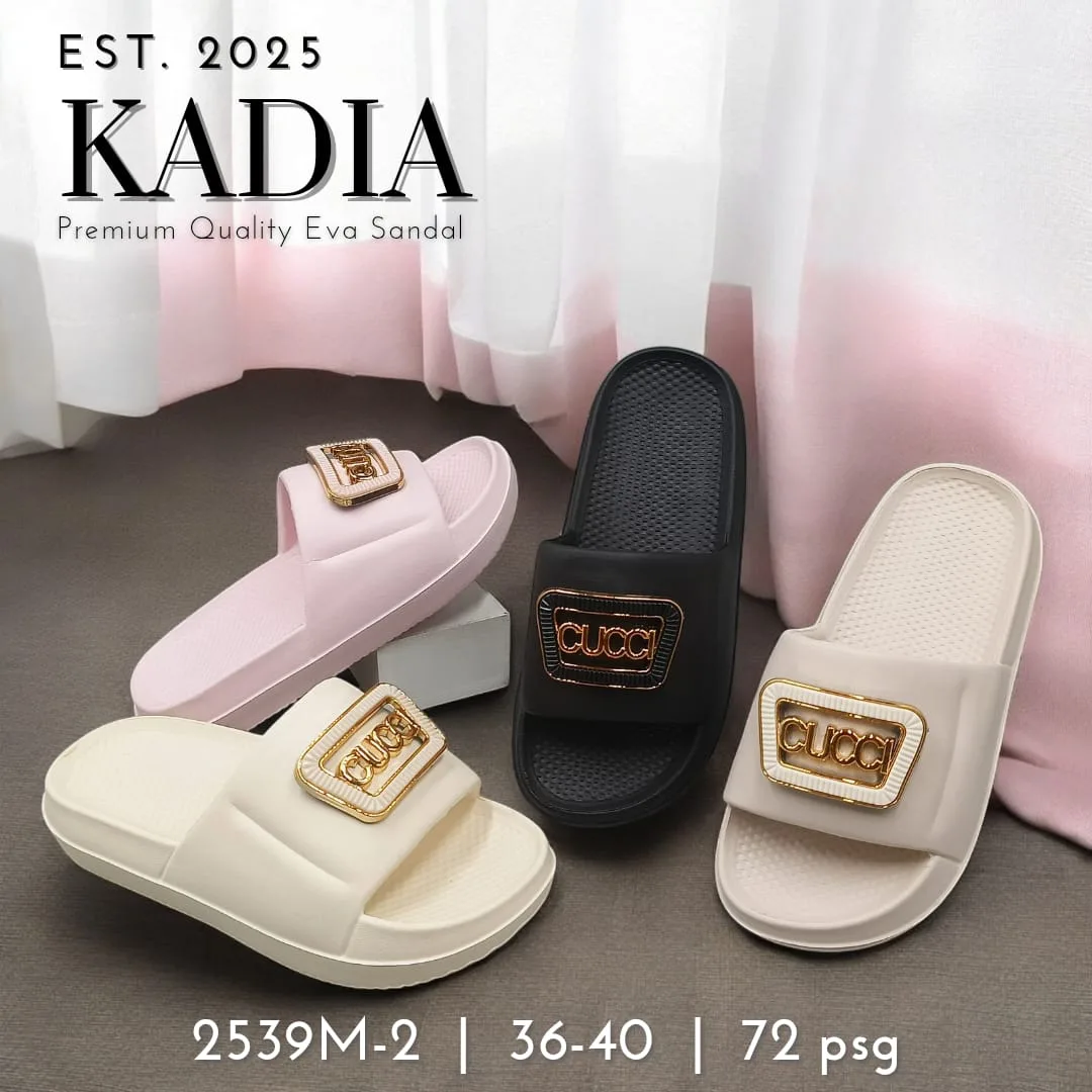 2539M-2 KADIA